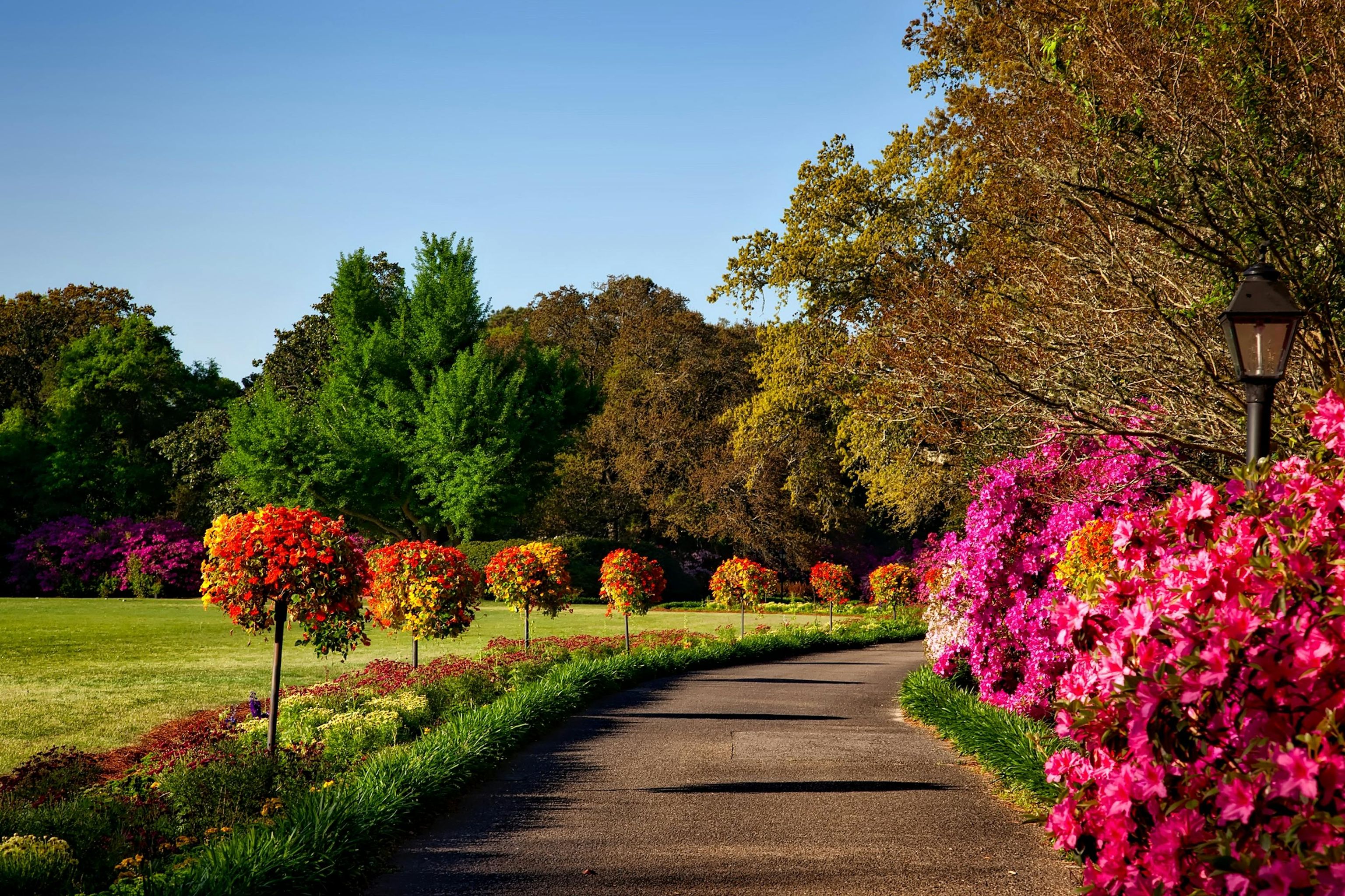 English Cottage Garden