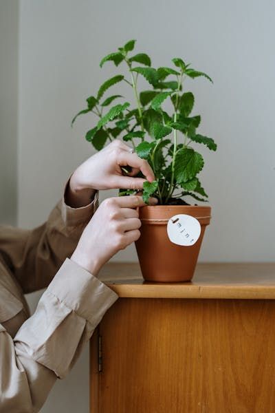 Team member working